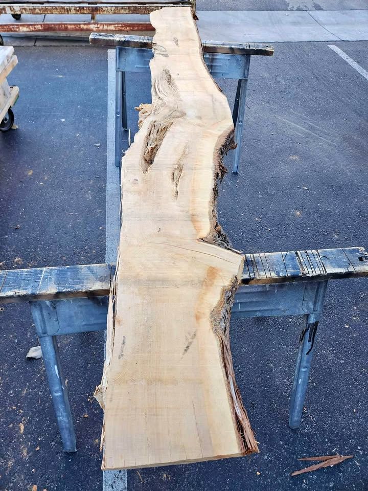 Cool Live Edge Slab - Kiln Dried Juniper - 3x12x8.5ft, photo 1