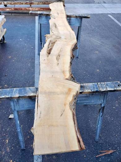 Cool Live Edge Slab - Kiln Dried Juniper - 3x12x8.5ft