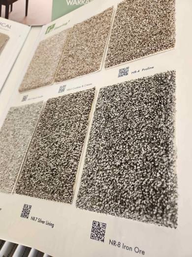 Northstar Carpet – 10-Year Warranty, Soft Tonal Texture – $11.95/sq-yd